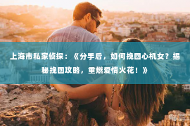 上海市私家侦探：《分手后，如何挽回心机女？揭秘挽回攻略，重燃爱情火花！》