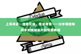 上海寻迹：泪洒荧屏，情深难舍——分手挽回视频中的电视剧片段情感再现