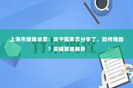 上海市婚姻调查：双子姐弟恋分手了，如何挽回？关键策略解析