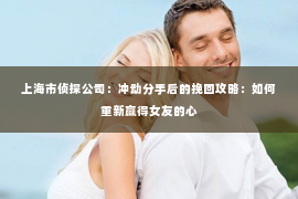 上海市侦探公司：冲动分手后的挽回攻略：如何重新赢得女友的心