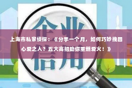 上海市私家侦探：《分手一个月，如何巧妙挽回心爱之人？五大高招助你重燃爱火！》