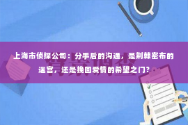 上海市侦探公司：分手后的沟通，是荆棘密布的迷宫，还是挽回爱情的希望之门？