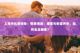 上海市私家侦探：情感挽回：痛苦与希望并存，如何走出困境？