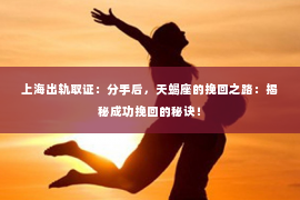 上海出轨取证：分手后，天蝎座的挽回之路：揭秘成功挽回的秘诀！